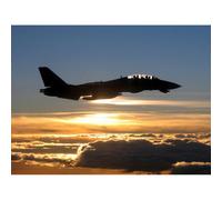 Artery8 Unframed Wall Art Us Navy F14D Tomcat Fighter Jet Silhouette - 12X16 Inch