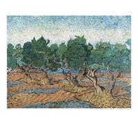 Artery8 Unframed Wall Art Vincent Van Gogh Olive Grove - 12X16 Inch