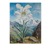 Artery8 Wild White Lily Mont Blanc Mountain Landscape Wall Art Print in Blue | Size: W12" x H16" Artery8 Blue W12" x H16"