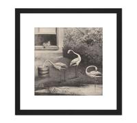 Artery8 Van Der Beek Three Flamingos Window Cat Drawing 8X8 Inch Square Wooden Framed Wall Art Print Picture with Mount in Black Artery8 Black