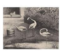 Artery8 Van Der Beek Three Flamingos Window Cat Drawing Art Print Canvas Premium Wall Decor Poster Mural