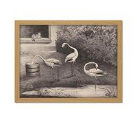 Artery8 Van Der Beek Three Flamingos Window Cat Drawing Artwork Framed Wall Art Print 18X24 Inch