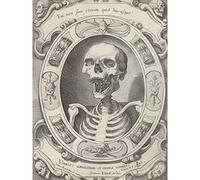 Artery8 Van Panderen Bernardius Human Skeleton Bust Engraving Large Wall Art Poster Print Thick Paper 18X24 Inch