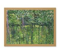 Artery8 Vincent Van Gogh Trees And Undergrowth Painting Artwork Framed Wall Art Print A4