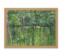 Artery8 Vincent Van Gogh Trees And Undergrowth Painting Artwork Framed Wall Art Print A4