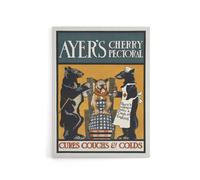 Artery8 Vintage Ayers Cherry Pectoral Ad Canvas Wall Art Print Penfield in Orange | Size: W24" x H32" Artery8 Orange W24" x H32"