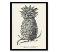 Artery8 Vintage Black White Pineapple Illustration Wright Framed Art Print | Size: A4 Artery8 White A4
