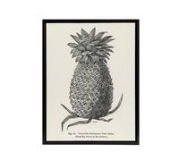 Artery8 Vintage Black White Pineapple Illustration Wright Framed Canvas Art | Size: W12" x H16" Artery8 White W12" x H16"