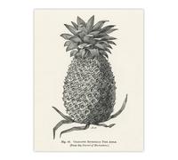 Artery8 Vintage Black White Pineapple Illustration Wright Wall Art Print | Size: W18" x H24" Artery8 White W18" x H24"