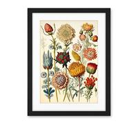 Artery8 Vintage Botanical Ernst Haeckel Inspired Plant Study Modern Watercolour Painting Illustration Artwork Framed Wall Art Print 18X24 Inch