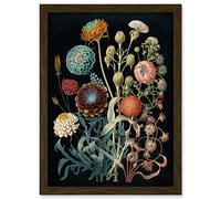 Artery8 Vintage Botanical Ernst Haeckel Style Plant Study Modern Watercolour Painting Illustration Artwork Framed Wall Art Print A4