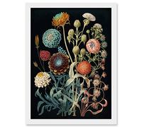 Vintage Botanical Ernst Haeckel Style Plant Study Modern Watercolour Painting Illustration Artwork Framed Wall Art Print A4 Artery8 White One Size
