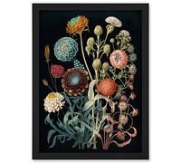 Artery8 Vintage Botanical Ernst Haeckel Style Plant Study Modern Watercolour Painting Illustration Artwork Framed Wall Art Print A4
