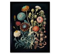 Wall Art Print Vintage Botanical Ernst Haeckel Style Plant Study Modern Watercolour Painting Art Framed Artery8 Black W12 inch x H16 inch
