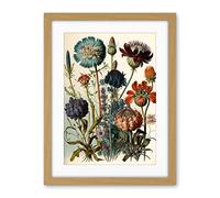 Artery8 Vintage Botanical Illustration Ernst Haeckel Inspired Plant Study Modern Watercolour Painting Artwork Framed Wall Art Print 18X24 Inch