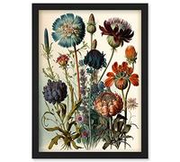 Artery8 Vintage Botanical Illustration Ernst Haeckel Inspired Plant Study Modern Watercolour Painting Artwork Framed Wall Art Print A4