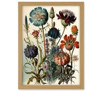 Artery8 Vintage Botanical Illustration Ernst Haeckel Inspired Plant Study Modern Watercolour Painting Artwork Framed A3 Wall Art Print