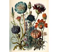 Artery8 Vintage Botanical Illustration Ernst Haeckel Inspired Plant Study Modern Watercolour Painting Premium Wall Art Canvas Print 18X24 Inch