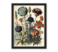 Artery8 Vintage Botanical Illustration Ernst Haeckel Inspired Plant Study Modern Watercolour Painting Artwork Framed Wall Art Print 18X24 Inch