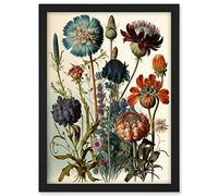 Artery8 Vintage Botanical Illustration Ernst Haeckel Inspired Plant Study Modern Watercolour Painting Artwork Framed A3 Wall Art Print