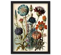 Artery8 Vintage Botanical Illustration Ernst Haeckel Inspired Plant Study Modern Watercolour Painting Artwork Framed Wall Art Print A4