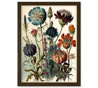 Artery8 Vintage Botanical Illustration Ernst Haeckel Inspired Plant Study Modern Watercolour Painting Artwork Framed A3 Wall Art Print