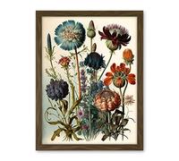 Artery8 Vintage Botanical Illustration Ernst Haeckel Inspired Plant Study Modern Watercolour Painting Artwork Framed Wall Art Print 18X24 Inch
