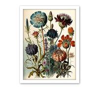 Artery8 Vintage Botanical Illustration Ernst Haeckel Inspired Plant Study Modern Watercolour Painting Artwork Framed Wall Art Print 18X24 Inch