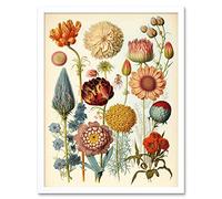 Artery8 Vintage Botanical Illustration Ernst Haeckel Style Plant Study Modern Watercolour Painting Art Print Framed Poster Wall Decor 12x16 inch