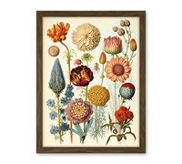 Artery8 Vintage Botanical Illustration Ernst Haeckel Style Plant Study Modern Watercolour Painting Artwork Framed Wall Art Print 18X24 Inch