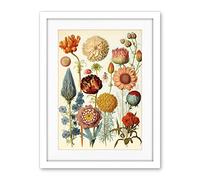 Artery8 Vintage Botanical Illustration Ernst Haeckel Style Plant Study Modern Watercolour Painting Artwork Framed Wall Art Print 18X24 Inch