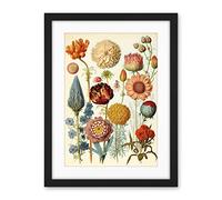 Artery8 Vintage Botanical Illustration Ernst Haeckel Style Plant Study Modern Watercolour Painting Artwork Framed Wall Art Print 18X24 Inch