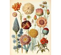 Artery8 Vintage Botanical Illustration Ernst Haeckel Style Plant Study Modern Watercolour Painting Large Wall Art Poster Print Thick Paper 18X24 Inch