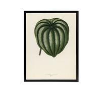 Artery8 Vintage Botanical Pepper Elder Leaf Fawcett Black Framed Canvas Art in Beige | Size: W12" x H16" Artery8 Beige W12" x H16"