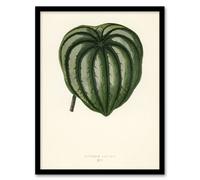 Artery8 Vintage Botanical Pepper Elder Leaf Fawcett Framed Wall Art Print in Beige | Size: A3 Artery8 Beige A3