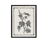 Artery8 Vintage Botanical Pustulata Leaves Hibberd Black Framed Canvas Art in White | Size: W24" x H32" Artery8 White W24" x H32"