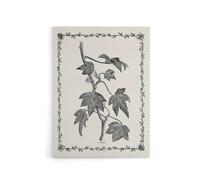 Artery8 Vintage Botanical Pustulata Leaves Hibberd Canvas Wall Art in White | Size: W24" x H32" Artery8 White W24" x H32"