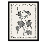 Artery8 Vintage Botanical Pustulata Leaves Hibberd Framed Wall Art Print A3