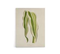 Artery8 Vintage Botanical Striped Maize Corn Leaf Fawcett Canvas Wall Art in Beige | Size: W12" x H16" Artery8 Beige W12" x H16"
