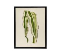 Artery8 Vintage Botanical Striped Maize Corn Leaf Fawcett Framed Canvas Art in Beige | Size: W18" x H24" Artery8 Beige W18" x H24"