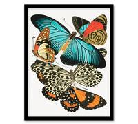 Artery8 Vintage Butterflies Blue & Orange Vintage Framed Wall Art Print Seguy | Size: A4 Artery8 Multicolor A4