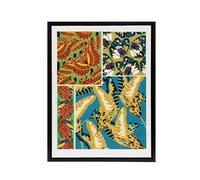 Artery8 Vintage Butterflies Bright Pattern Framed Canvas Wall Art Print Seguy | Size: W24" x H32" Artery8 Multicolor W24" x H32"