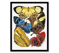 Artery8 Vintage Butterflies Yellow Red Blue Vintage Framed Wall Art Print Seguy | Size: W12" x H16" Artery8 Multicolor W12" x H16"