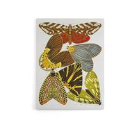 Artery8 Vintage Butterfly Illustration Canvas Wall Art Print Eugene Seguy | Size: W18" x H24" Artery8 Multicolor W18" x H24"
