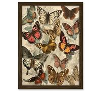 Artery8 Vintage Cottagecore Aesthetic Butterflies Colour Pencil Insect Study Decor Artwork Framed A3 Wall Art Print