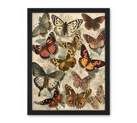 Artery8 Vintage Cottagecore Aesthetic Butterflies Colour Pencil Insect Study Decor Artwork Framed Wall Art Print 18X24 Inch