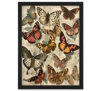 Artery8 Vintage Cottagecore Aesthetic Butterflies Colour Pencil Insect Study Decor Artwork Framed Wall Art Print A4