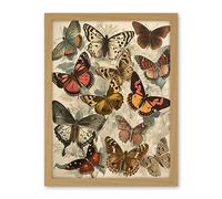 Artery8 Vintage Cottagecore Aesthetic Butterflies Colour Pencil Insect Study Decor Artwork Framed Wall Art Print 18X24 Inch