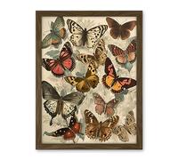 Artery8 Vintage Cottagecore Aesthetic Butterflies Colour Pencil Insect Study Decor Artwork Framed Wall Art Print 18X24 Inch