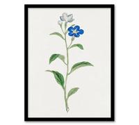 Artery8 Vintage Japan Botanical Framed Wall Art Print Blue Flower in White | Size: A3 Artery8 White A3